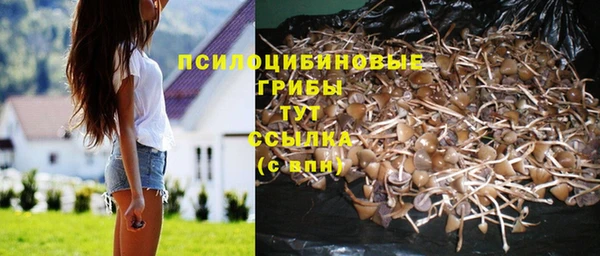 герыч Саяногорск