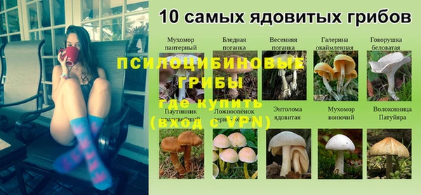 ECSTASY Россошь