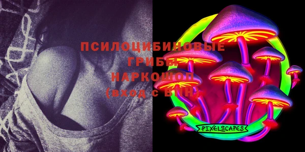 apvp Сатка
