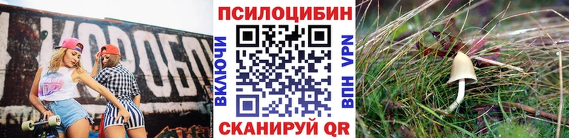 mega ТОР  Ялта  Псилоцибиновые грибы Psilocybine cubensis 