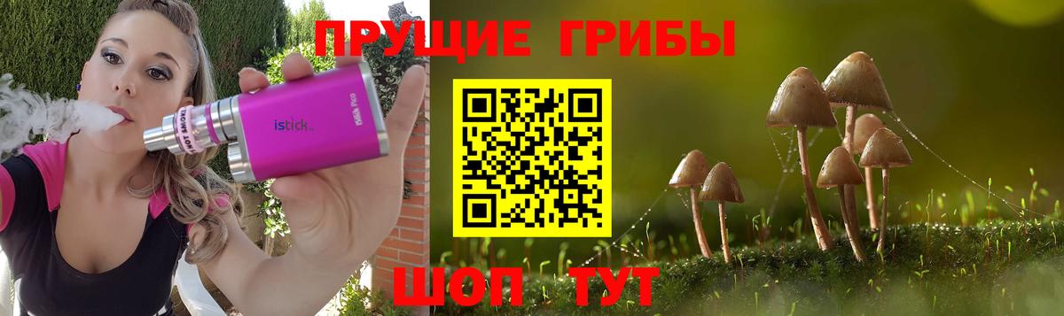 Псилоцибиновые грибы GOLDEN TEACHER  Вход с VPN  Ялта 